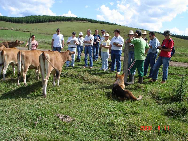 Agricultores adotando homeopatia veterinaria.jpg